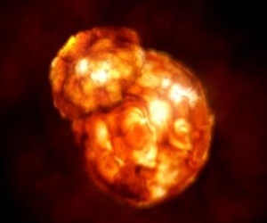 ベテルギウスの超新星爆発時期はいつ？シュミレーション動画まとめ